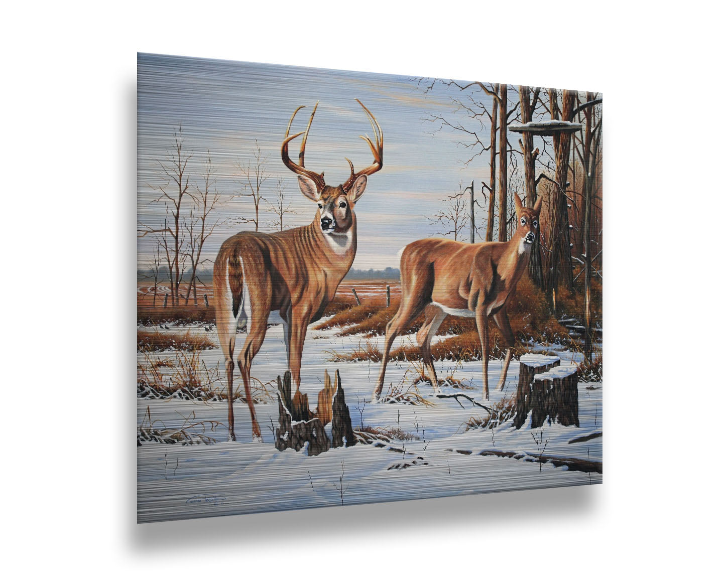 A painting of two deer, a doe and a buck, walking through a snowy field into the woods. Their fur and the surrounding foliage are a warm brown, which contrasts beautifully with the cool shadows on the snow. Printed on metal.