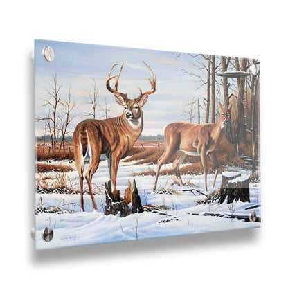 A painting of two deer, a doe and a buck, walking through a snowy field into the woods. Their fur and the surrounding foliage are a warm brown, which contrasts beautifully with the cool shadows on the snow. Printed on acrylic.