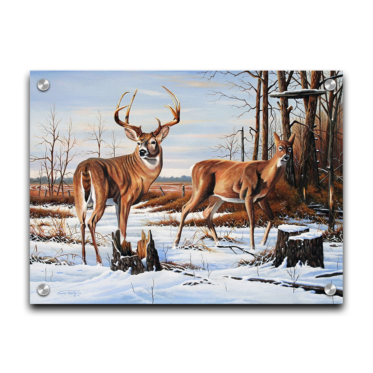 A painting of two deer, a doe and a buck, walking through a snowy field into the woods. Their fur and the surrounding foliage are a warm brown, which contrasts beautifully with the cool shadows on the snow. Printed on acrylic.