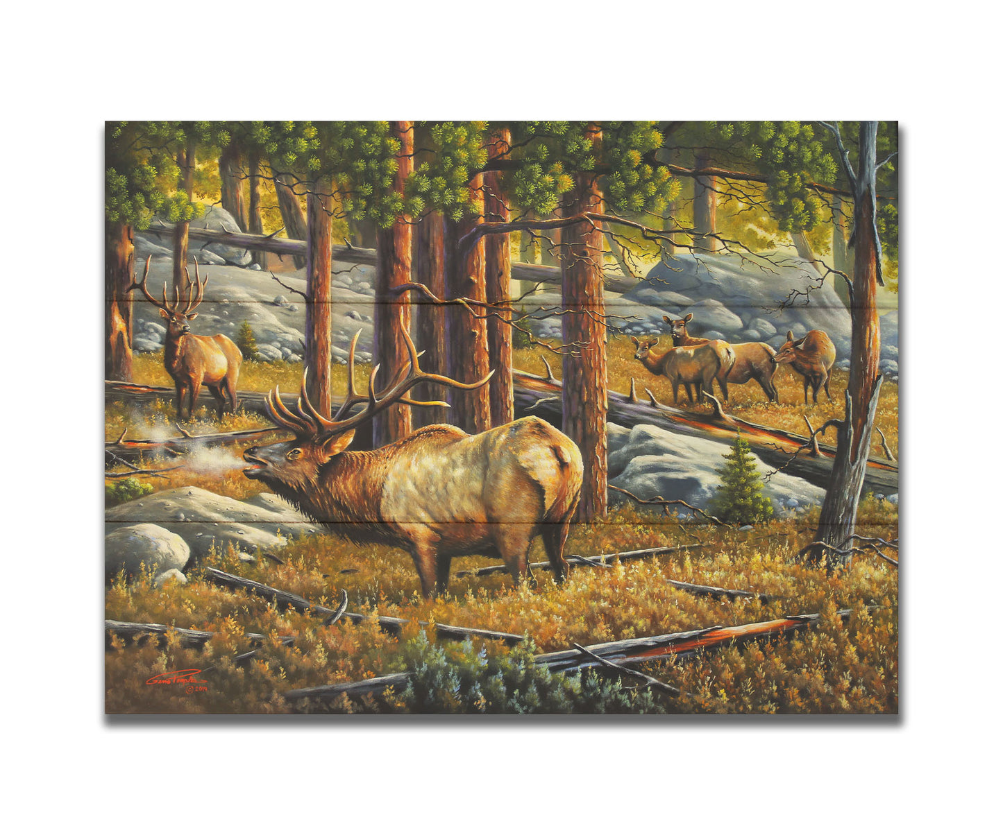 A painting depicting a forest scene with a majestic herd of elk, their breath fogging in the cold air. Printed on a box board.