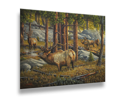 A painting depicting a forest scene with a majestic herd of elk, their breath fogging in the cold air. Printed on metal.