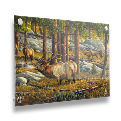 A painting depicting a forest scene with a majestic herd of elk, their breath fogging in the cold air. Printed on acrylic.