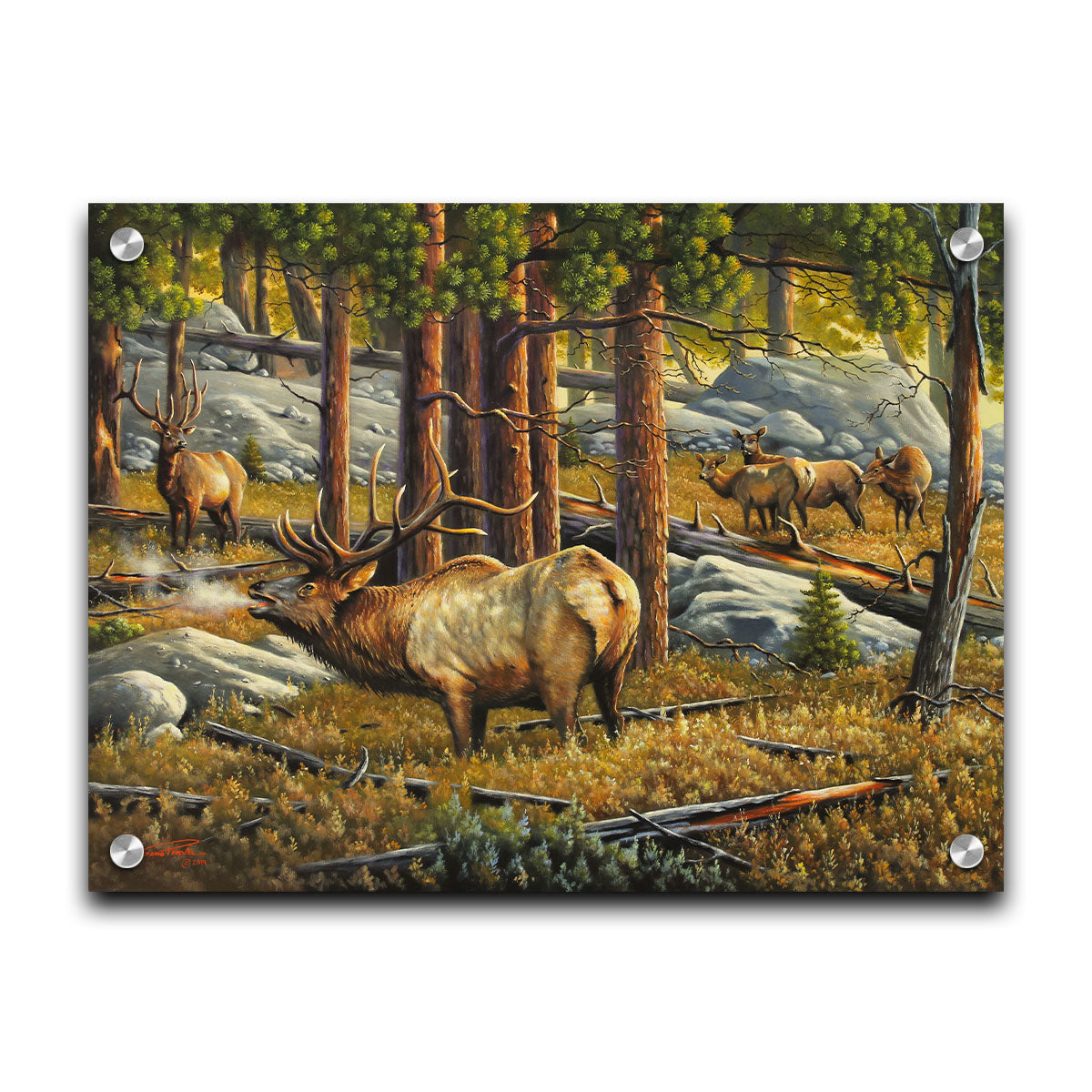 A painting depicting a forest scene with a majestic herd of elk, their breath fogging in the cold air. Printed on acrylic.