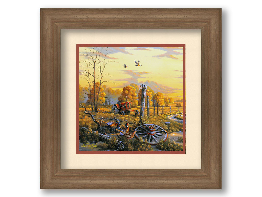 A landscape painting of autumn trees and a field. A tractor, a broken wheel, and a broken fence post add extra character to the scene. Pheasants sit in the foreground and ducks fly overhead. The sky and field are as golden yellow as the trees, in the morning light. Printed on paper, matted, and framed.