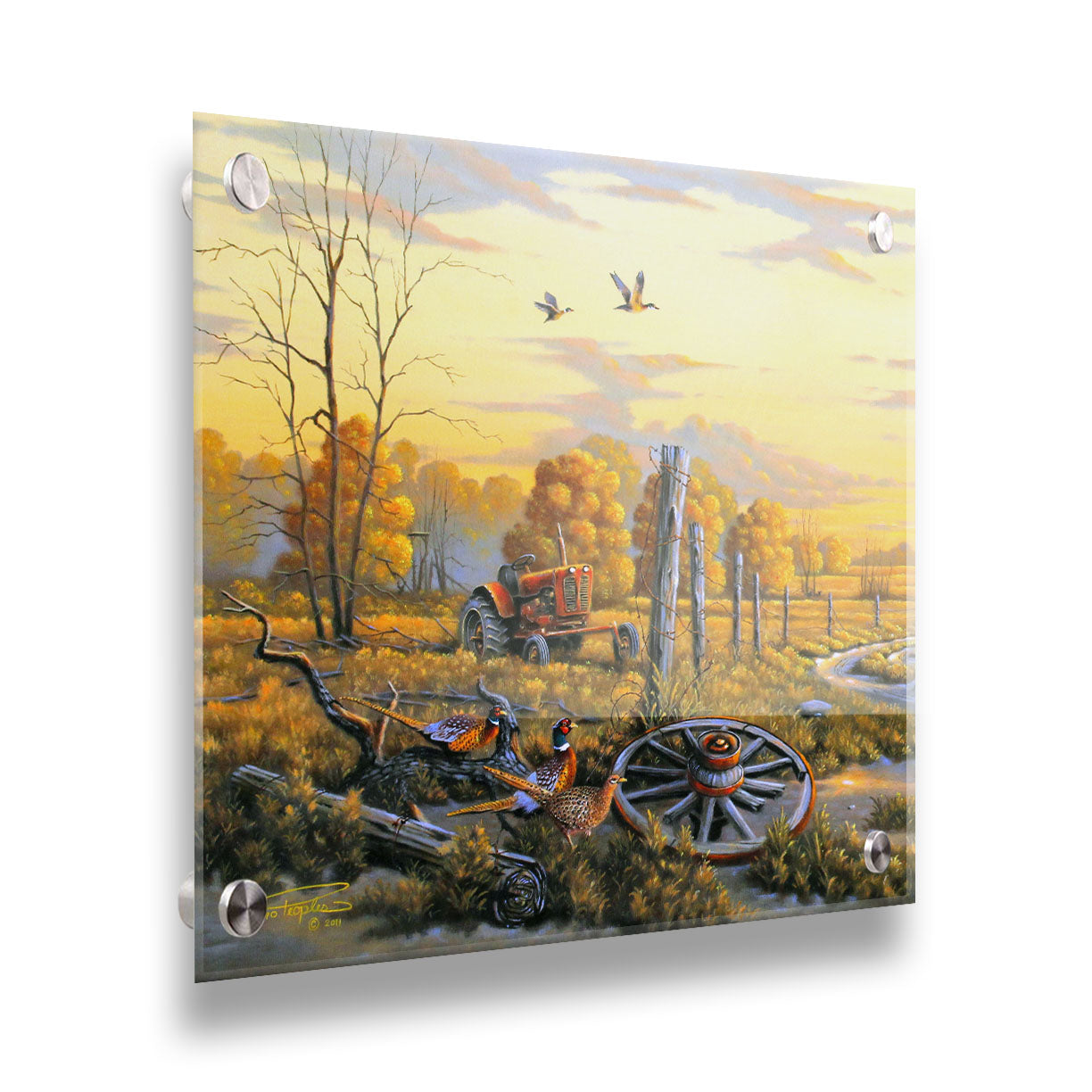 A landscape painting of autumn trees and a field. A tractor, a broken wheel, and a broken fence post add extra character to the scene. Pheasants sit in the foreground and ducks fly overhead. The sky and field are as golden yellow as the trees, in the morning light. Printed on acrylic.