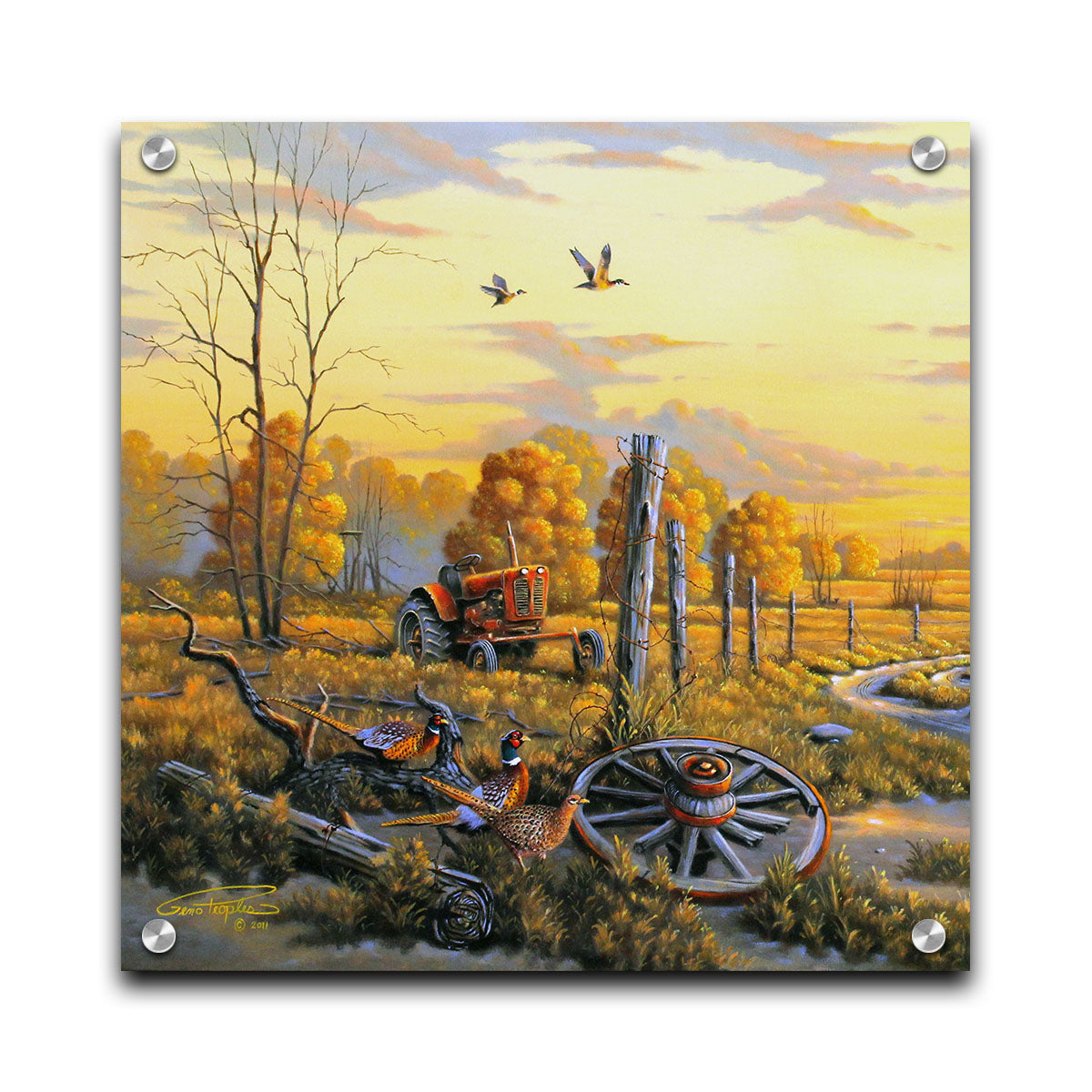 A landscape painting of autumn trees and a field. A tractor, a broken wheel, and a broken fence post add extra character to the scene. Pheasants sit in the foreground and ducks fly overhead. The sky and field are as golden yellow as the trees, in the morning light. Printed on acrylic.