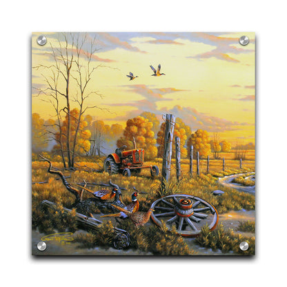 A landscape painting of autumn trees and a field. A tractor, a broken wheel, and a broken fence post add extra character to the scene. Pheasants sit in the foreground and ducks fly overhead. The sky and field are as golden yellow as the trees, in the morning light. Printed on acrylic.