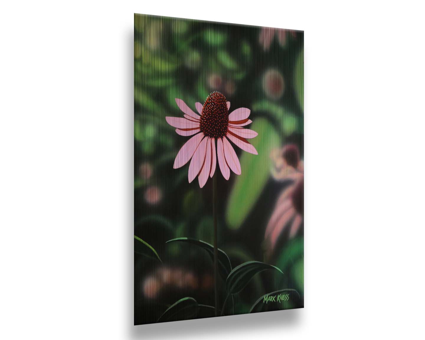 Echinacea Coneflower by Mark Kness