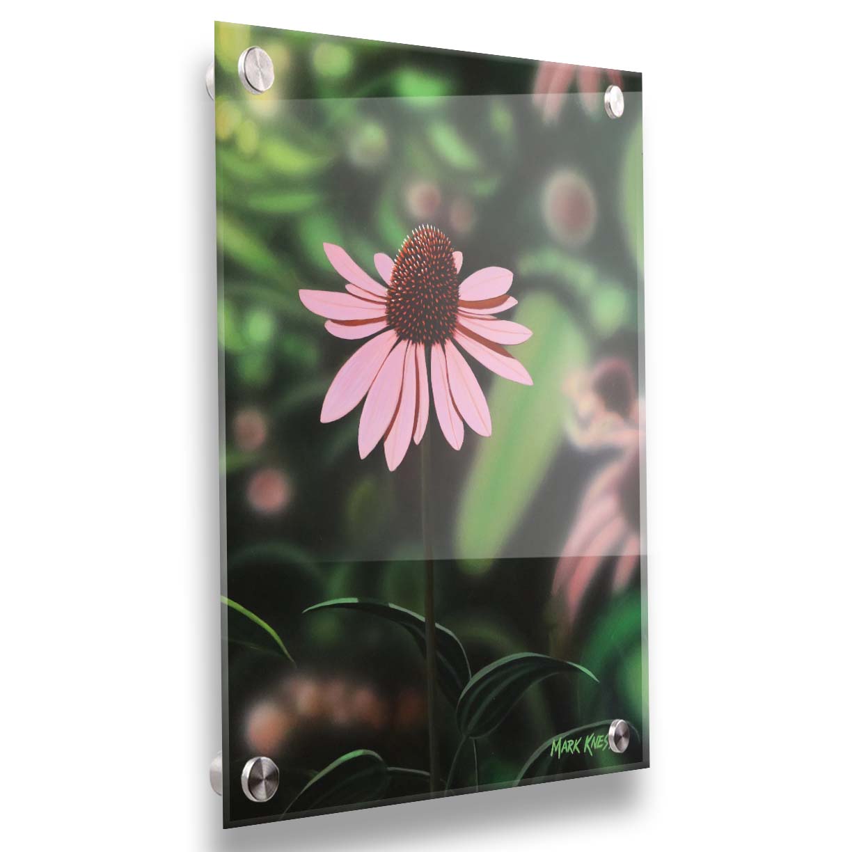 A painting of a pink coneflower, with a garden of additional pink coneflowers blurred with perspective in the backgroud. Printed on metal.