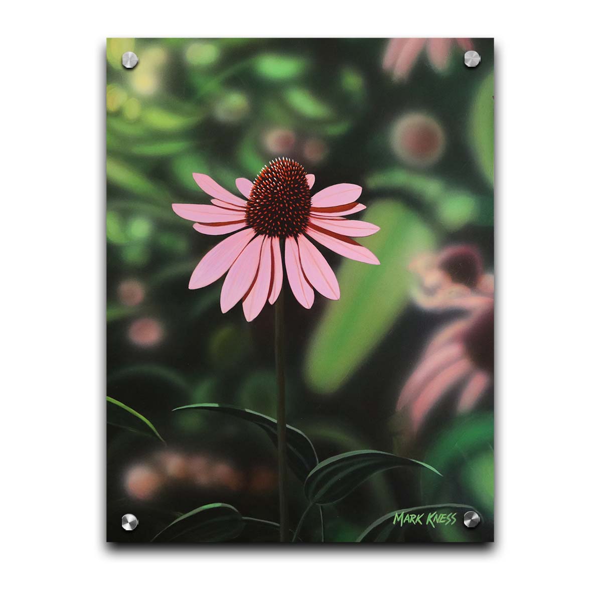 A painting of a pink coneflower, with a garden of additional pink coneflowers blurred with perspective in the backgroud. Printed on acrylic.