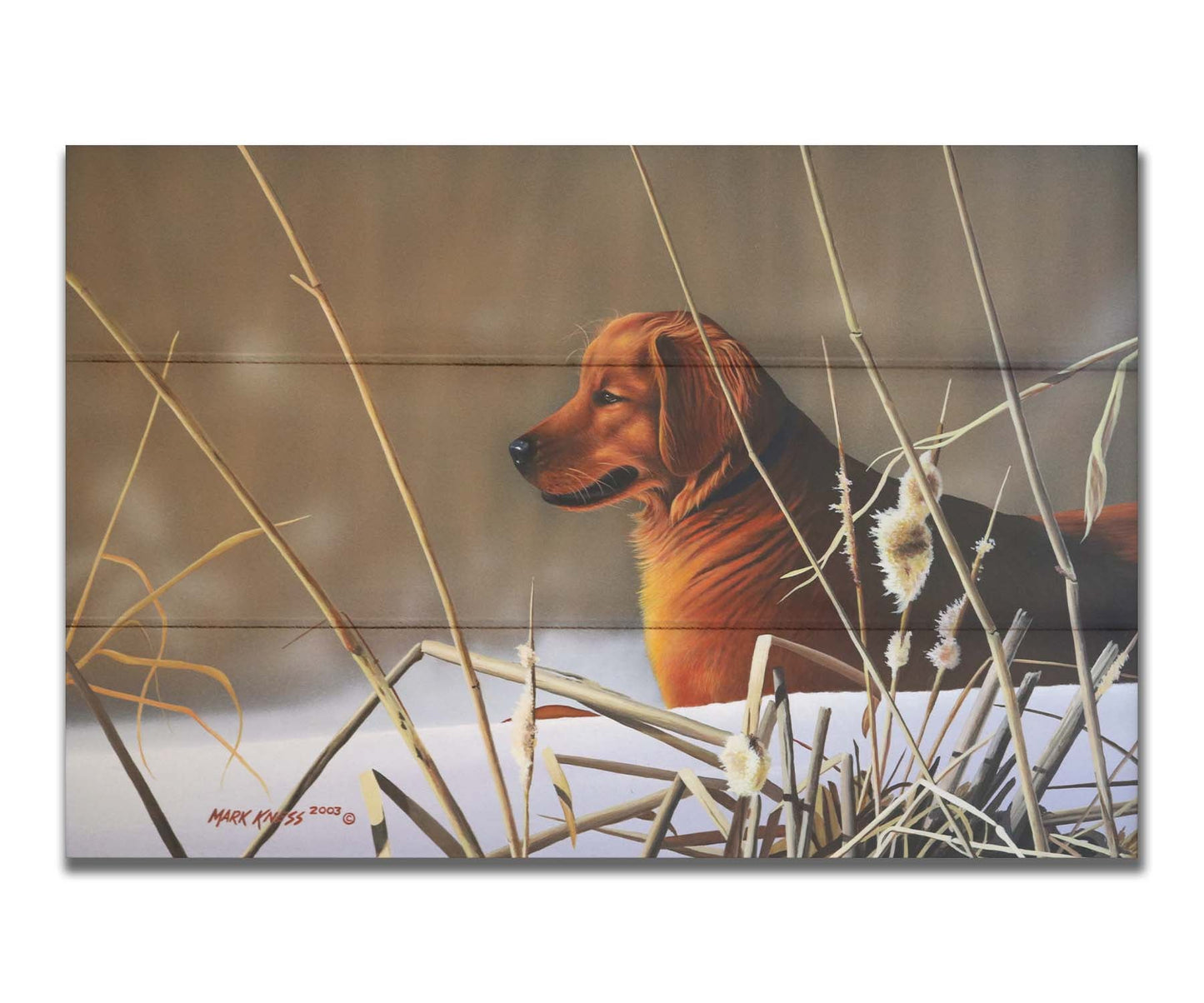 A portrait painting of a golden retriever, surrounded by a snowy landscape with brown, dead plants frozen in the winter cold. Printed on a box board.