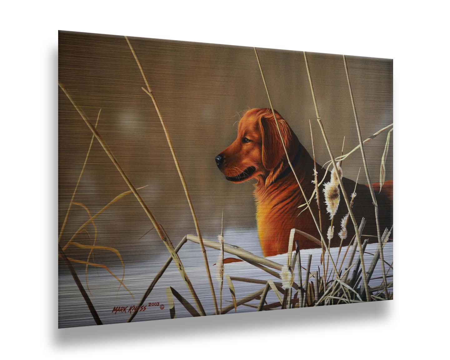 A portrait painting of a golden retriever, surrounded by a snowy landscape with brown, dead plants frozen in the winter cold. Printed on metal.