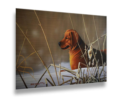 A portrait painting of a golden retriever, surrounded by a snowy landscape with brown, dead plants frozen in the winter cold. Printed on metal.