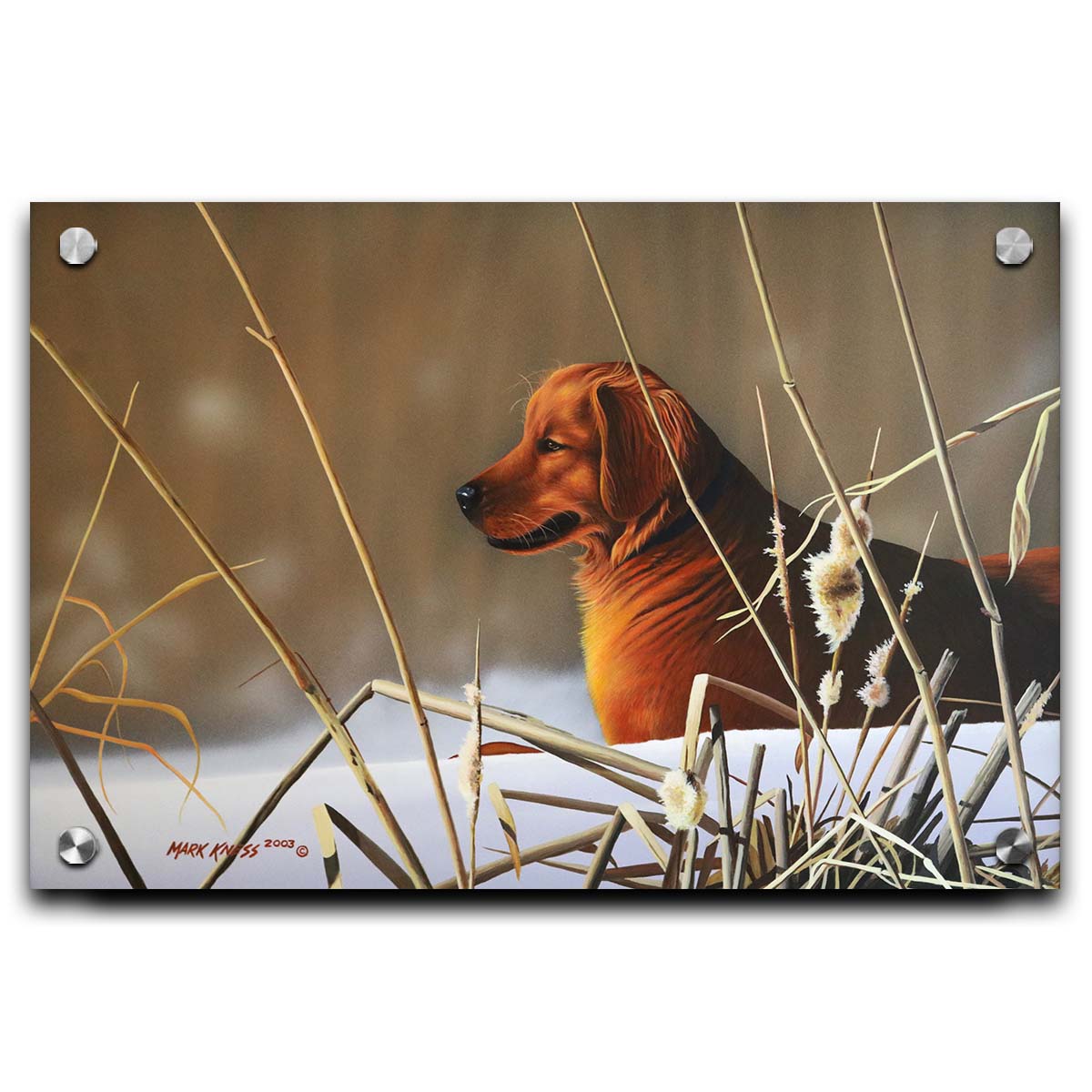 A portrait painting of a golden retriever, surrounded by a snowy landscape with brown, dead plants frozen in the winter cold. Printed on acrylic.