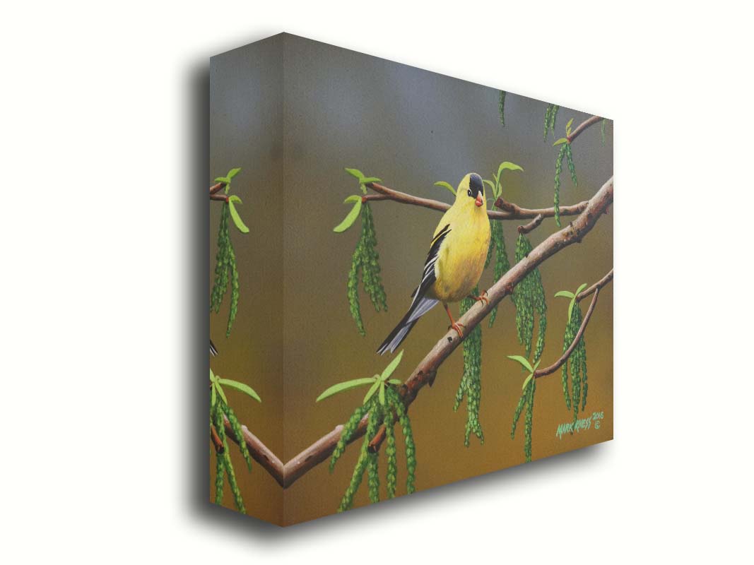 A painting of an American Goldfinch bird perched on a twig. Its bright yellow feathers stand out against the brown and green of the tree branch. Printed on canvas.