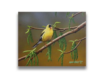 A painting of an American Goldfinch bird perched on a twig. Its bright yellow feathers stand out against the brown and green of the tree branch. Printed on canvas.