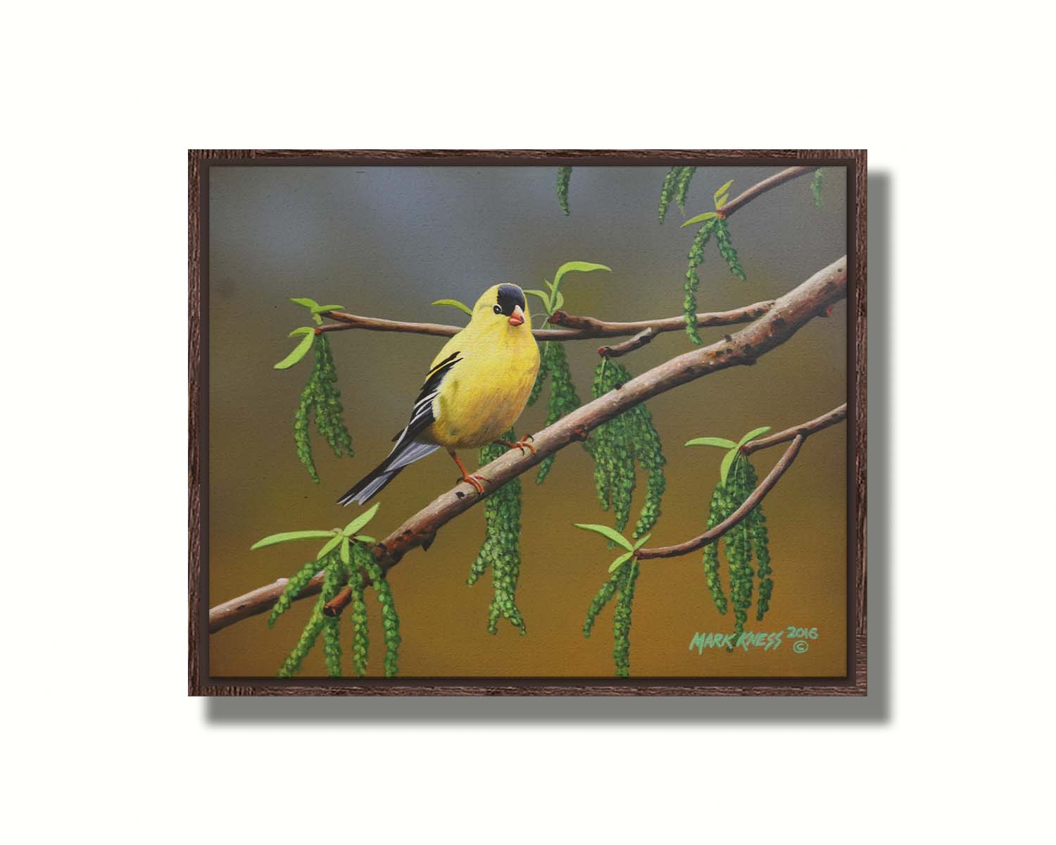 A painting of an American Goldfinch bird perched on a twig. Its bright yellow feathers stand out against the brown and green of the tree branch. Printed on canvas in a float frame.