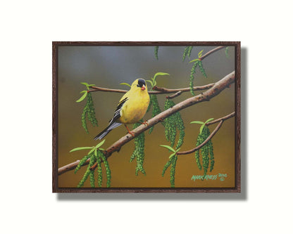 A painting of an American Goldfinch bird perched on a twig. Its bright yellow feathers stand out against the brown and green of the tree branch. Printed on canvas in a float frame.