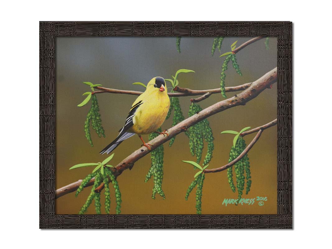 A painting of an American Goldfinch bird perched on a twig. Its bright yellow feathers stand out against the brown and green of the tree branch. Printed on canvas and framed.