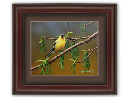 A painting of an American Goldfinch bird perched on a twig. Its bright yellow feathers stand out against the brown and green of the tree branch. Printed on paper, matted, and framed.