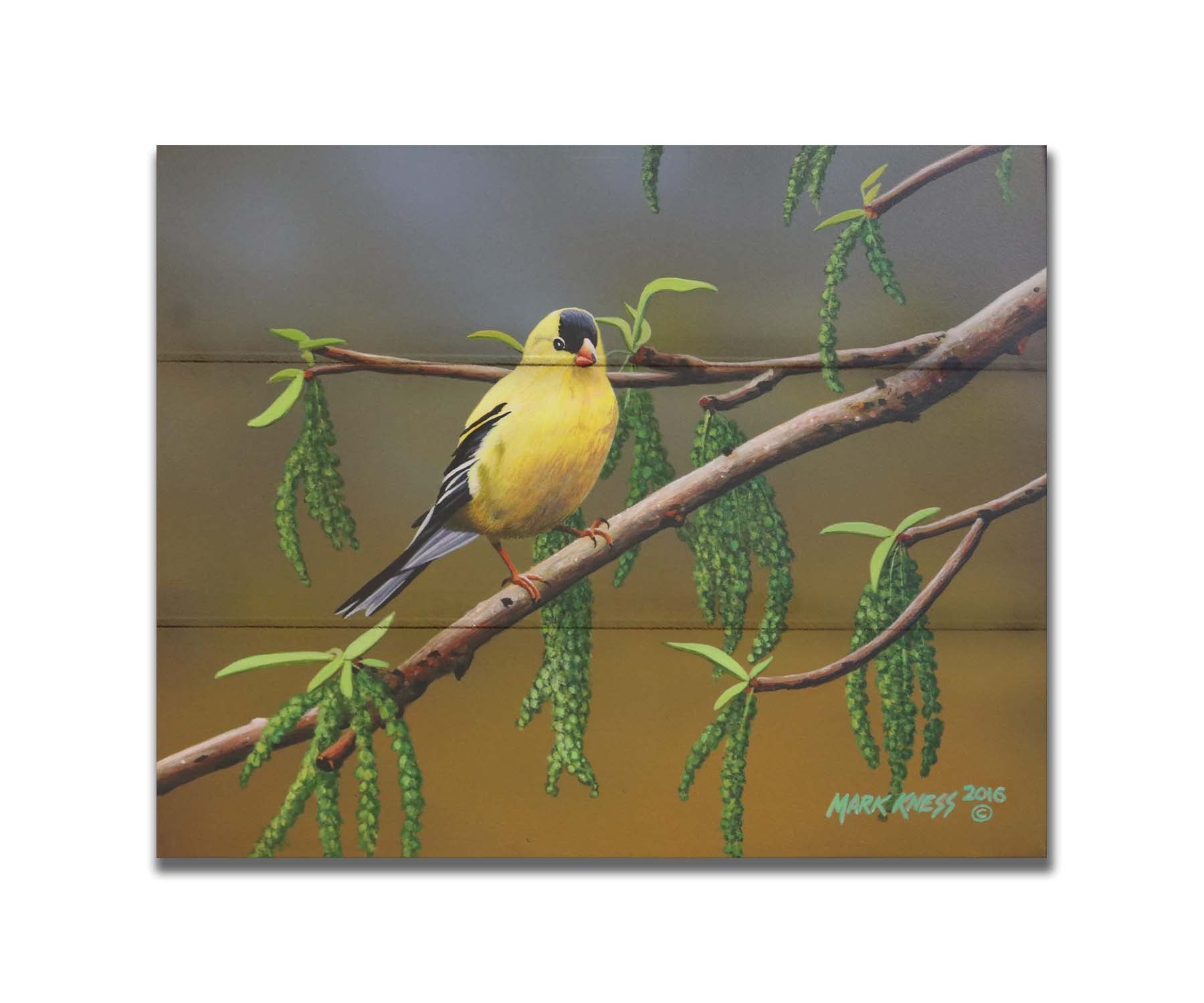 A painting of an American Goldfinch bird perched on a twig. Its bright yellow feathers stand out against the brown and green of the tree branch. Printed on a box board.