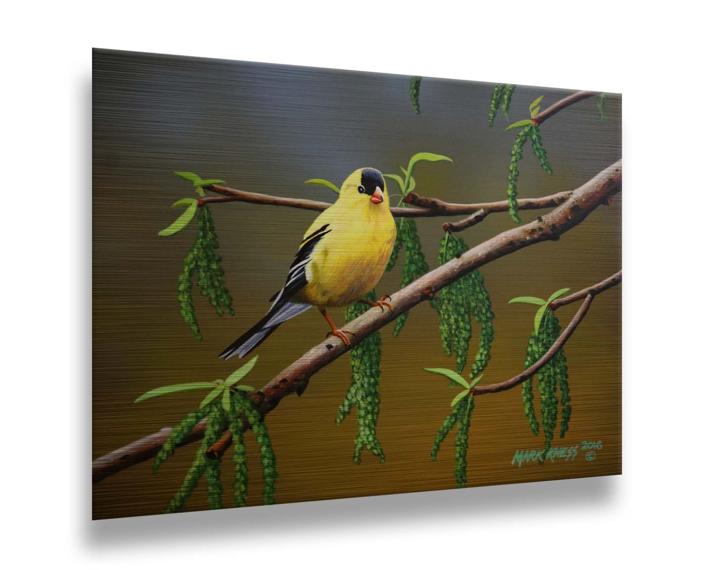 A painting of an American Goldfinch bird perched on a twig. Its bright yellow feathers stand out against the brown and green of the tree branch. Printed on metal.