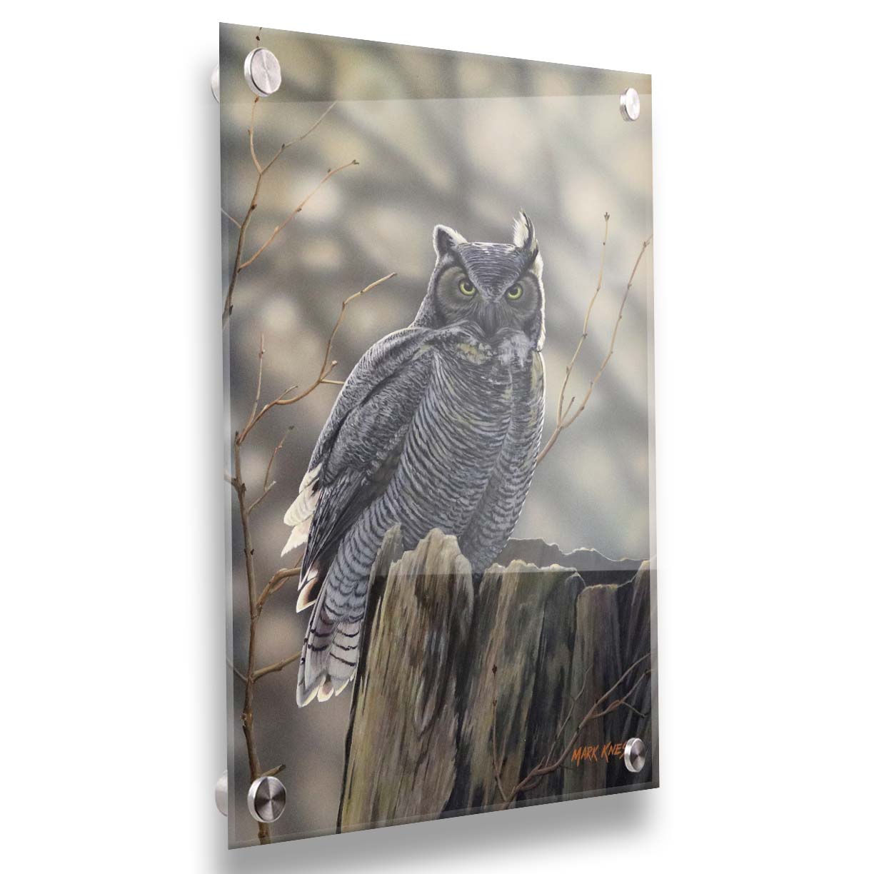 A painting of a great horned owl perched atop a log. Printed on acrylic.