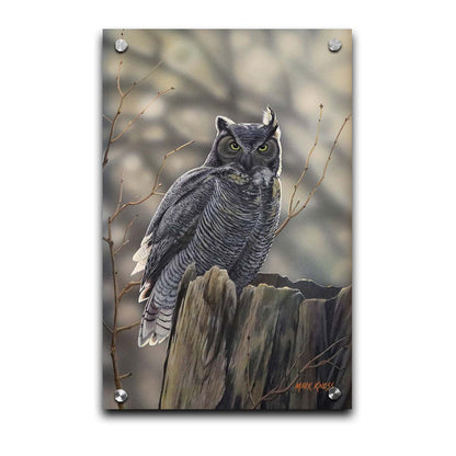 A painting of a great horned owl perched atop a log. Printed on acrylic.