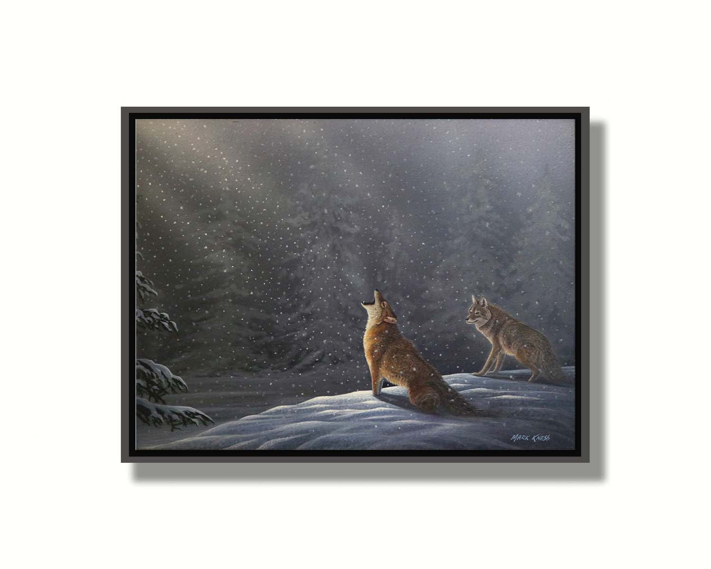 A painting of a snowy night scene. As the snow falls in the forest, illuminated by moonlight, a wolf howls at the sky. Printed on canvas in a float frame.