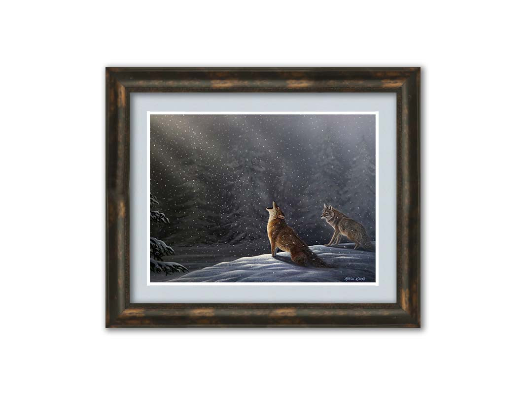 A painting of a snowy night scene. As the snow falls in the forest, illuminated by moonlight, a wolf howls at the sky. Printed on paper, matted, and framed.