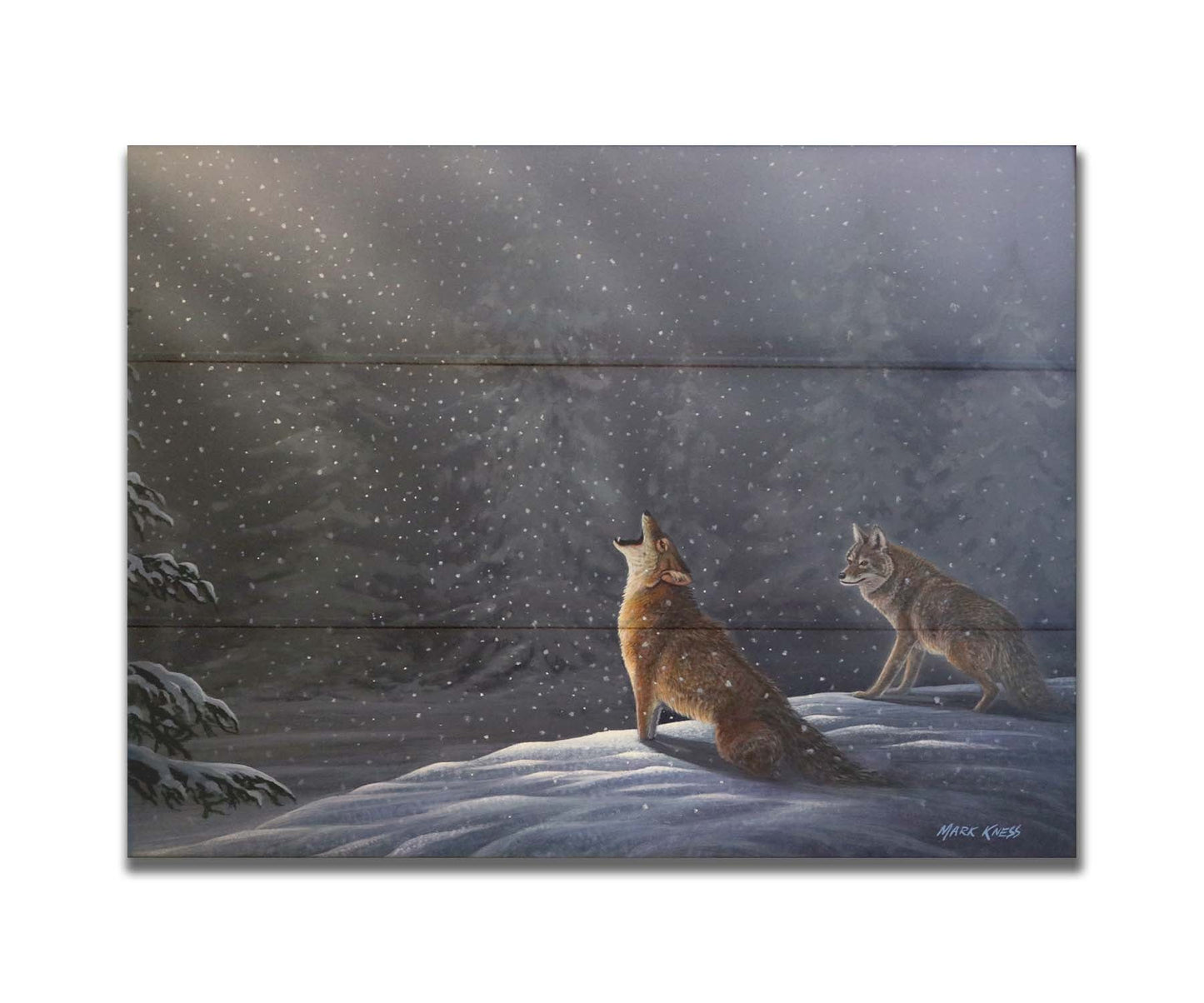 A painting of a snowy night scene. As the snow falls in the forest, illuminated by moonlight, a wolf howls at the sky. Printed on a box board.