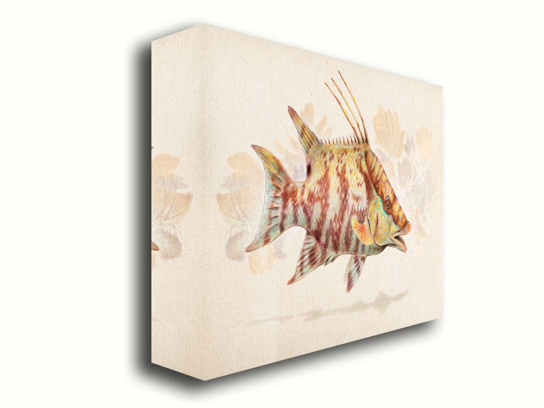 A painting of a hogfish against a soft coral background, all isolated in a warm neutral space. Printed on canvas.