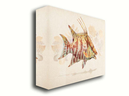 A painting of a hogfish against a soft coral background, all isolated in a warm neutral space. Printed on canvas.