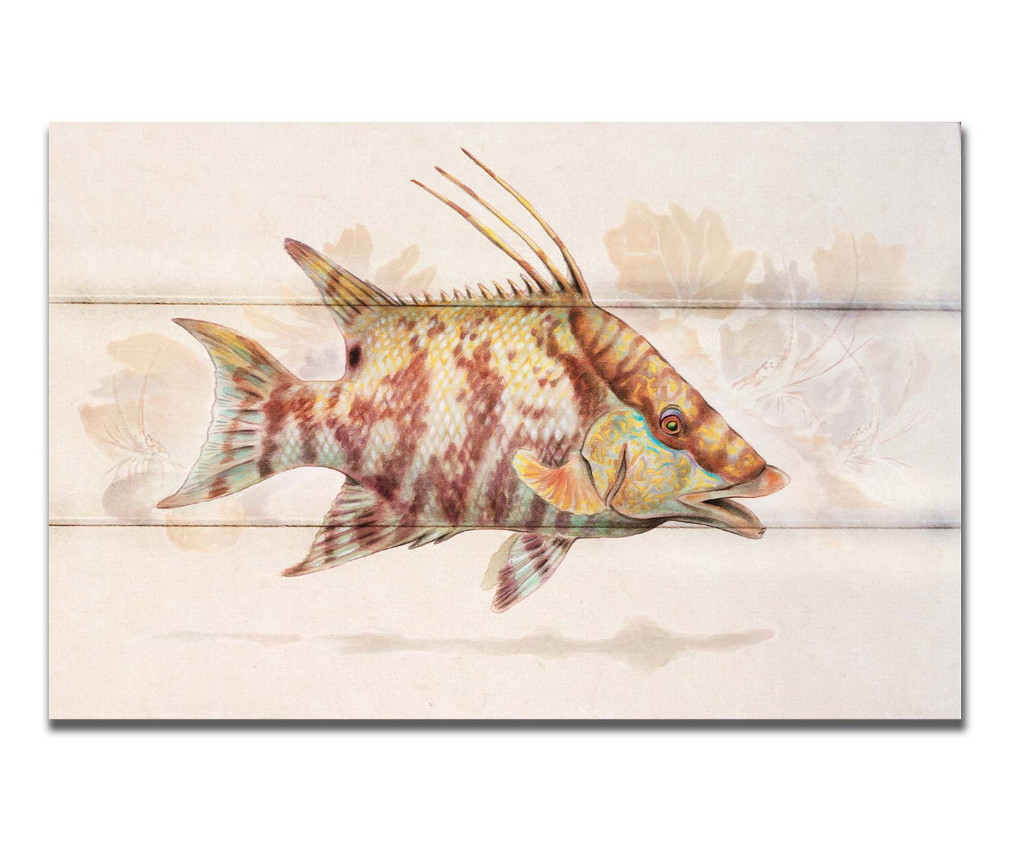 A painting of a hogfish against a soft coral background, all isolated in a warm neutral space. Printed on a box board.