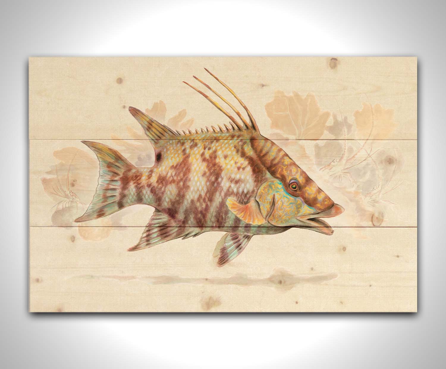 A painting of a hogfish against a soft coral background, all isolated in a warm neutral space. Printed on a wood pallet.