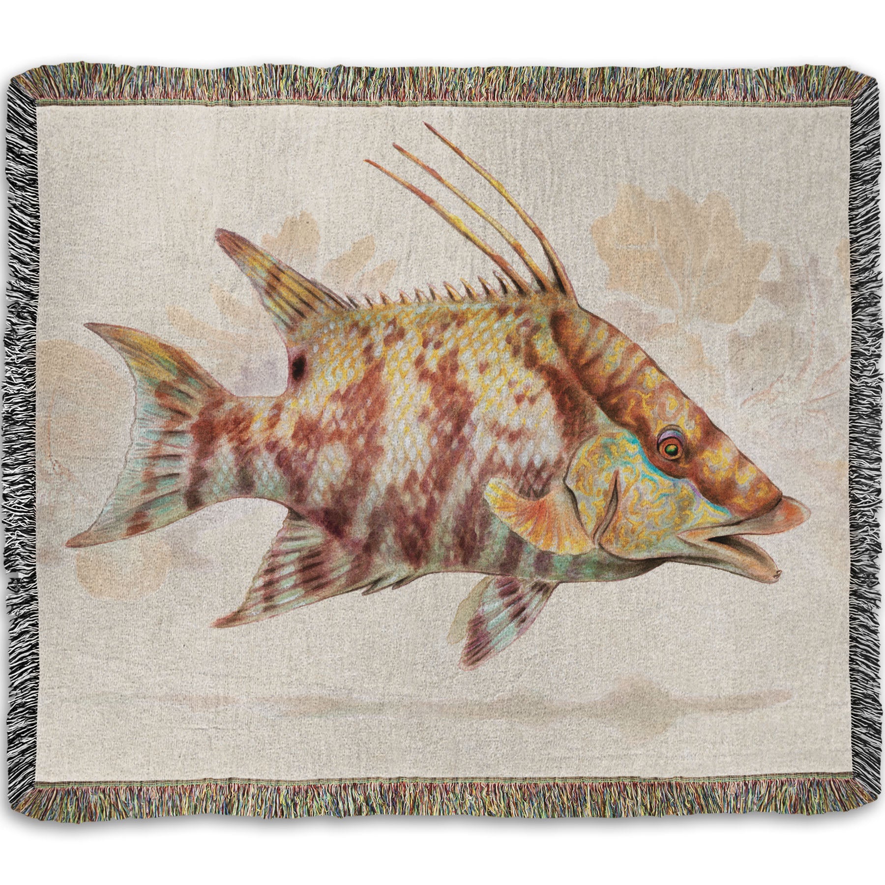 A woven throw blanket designed with a painting of a hogfish against a soft coral background, all isolated in a warm neutral space.