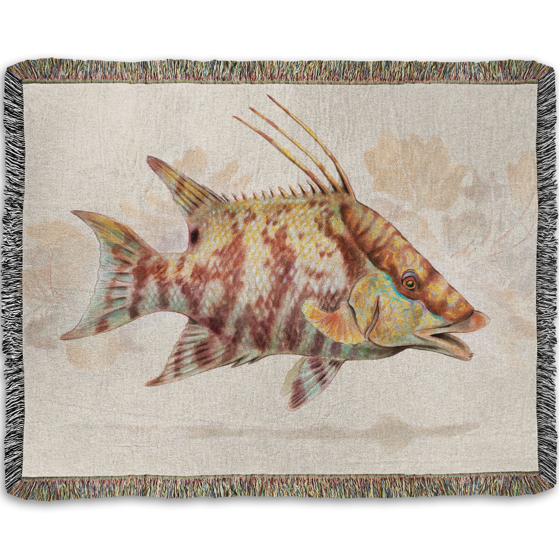 A woven throw blanket designed with a painting of a hogfish against a soft coral background, all isolated in a warm neutral space.