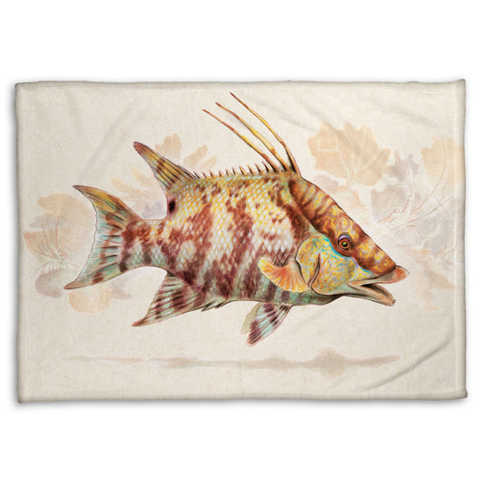 A fleece throw blanket designed with a painting of a hogfish against a soft coral background, all isolated in a warm neutral space.