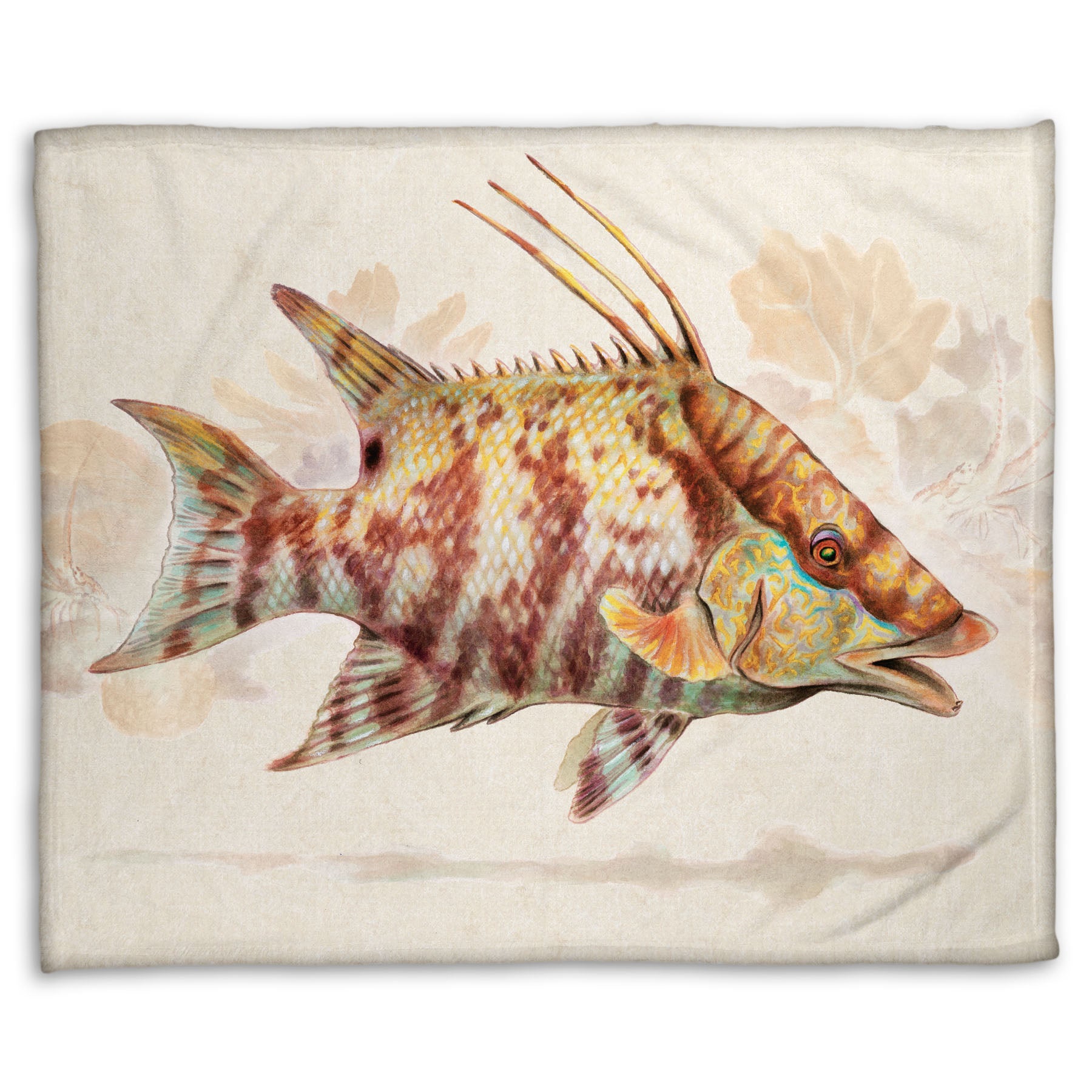 A fleece throw blanket designed with a painting of a hogfish against a soft coral background, all isolated in a warm neutral space.