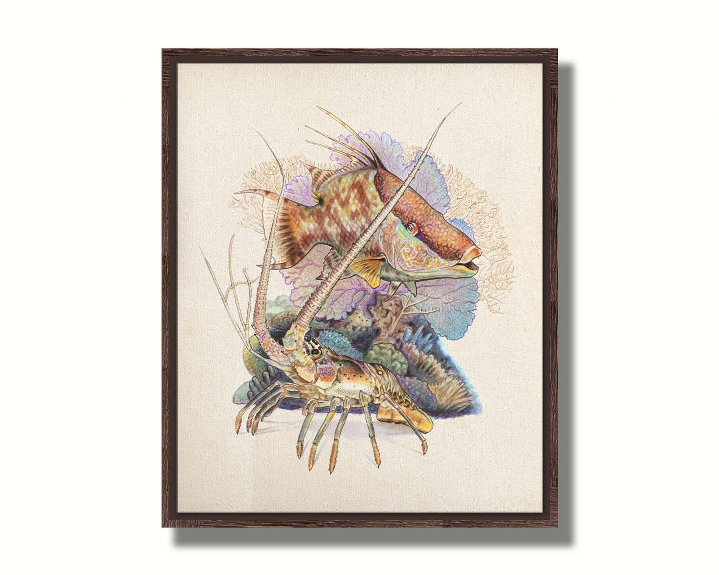 A painting of a hogfish and a lobster in front of various corals and sea plants, isolated against a white background. Printed on canvas in a float frame.