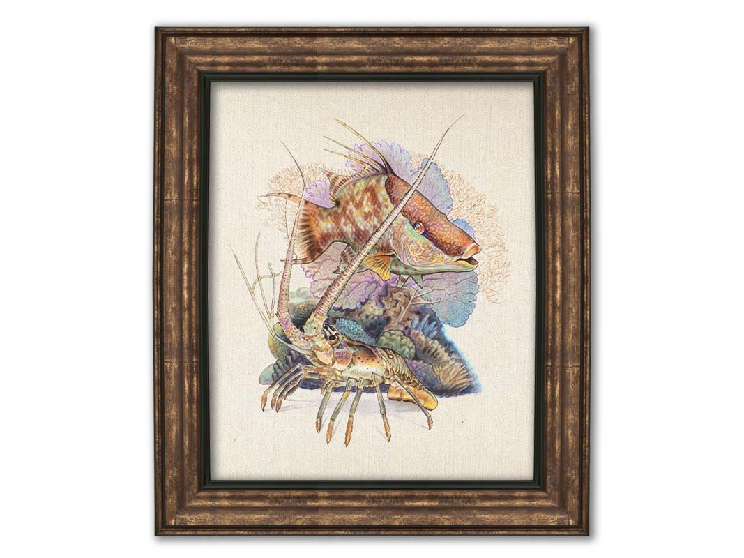 A painting of a hogfish and a lobster in front of various corals and sea plants, isolated against a white background. Printed on canvas and framed.