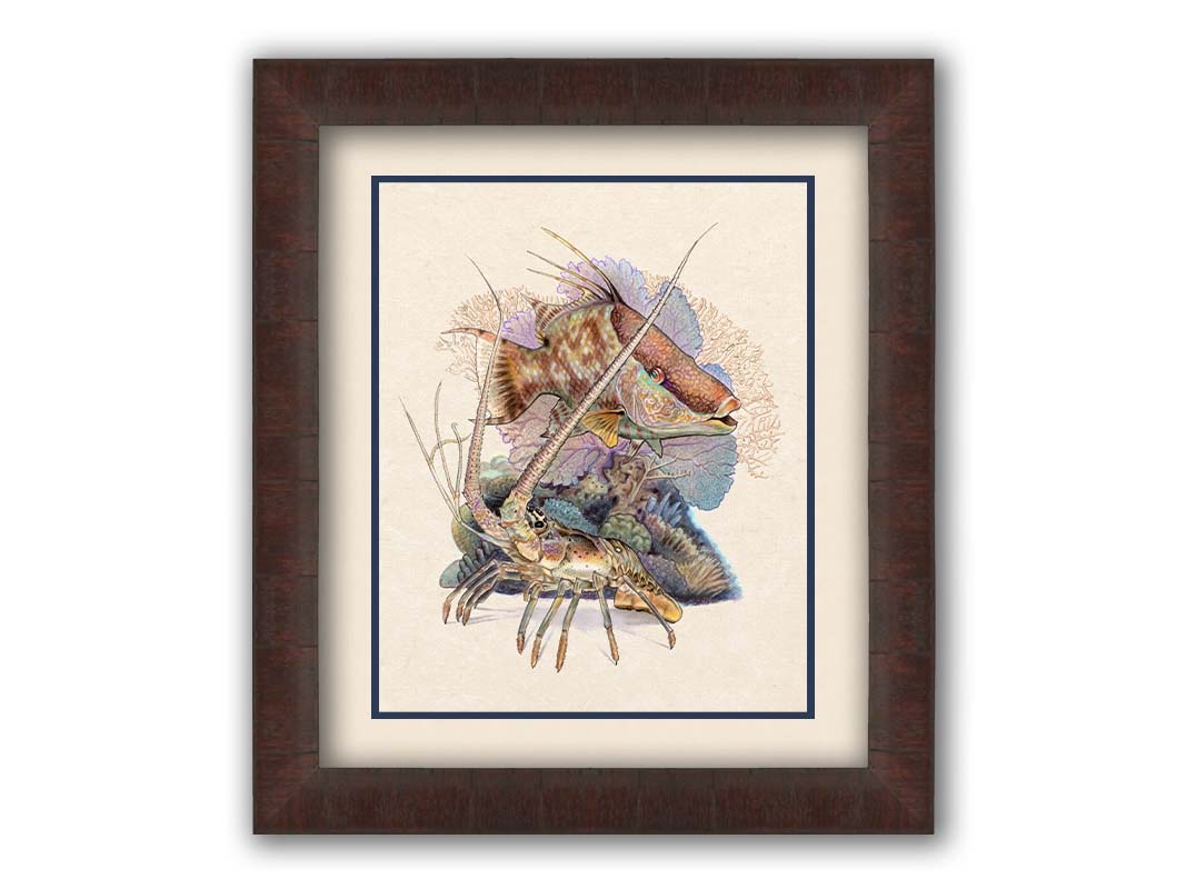 A painting of a hogfish and a lobster in front of various corals and sea plants, isolated against a white background. Printed on paper, matted, and framed.