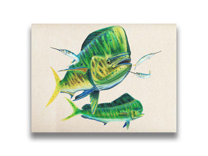 A painting of two vibrant green mahi-mahi fish swimming alongside three shimmering ballyhoo, isolated against a white background. Printed on canvas.