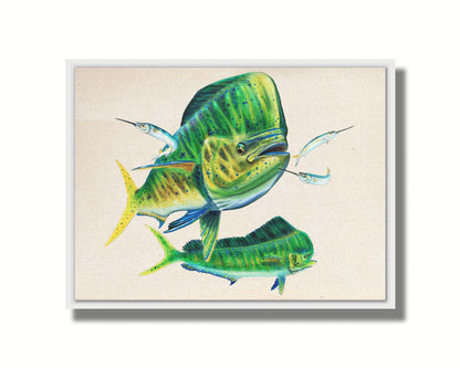 A painting of two vibrant green mahi-mahi fish swimming alongside three shimmering ballyhoo, isolated against a white background. Printed on canvas in a float frame.