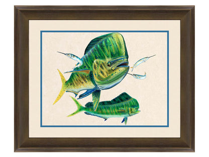 A painting of two vibrant green mahi-mahi fish swimming alongside three shimmering ballyhoo, isolated against a white background. Printed on paper, matted, and framed.