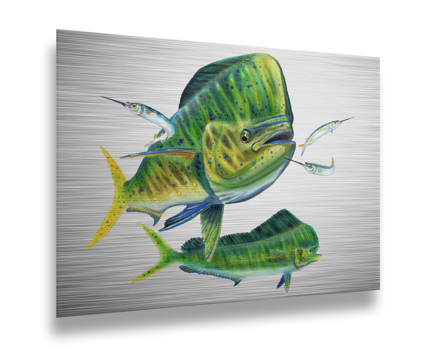 A painting of two vibrant green mahi-mahi fish swimming alongside three shimmering ballyhoo, isolated against a white background. Printed on metal.