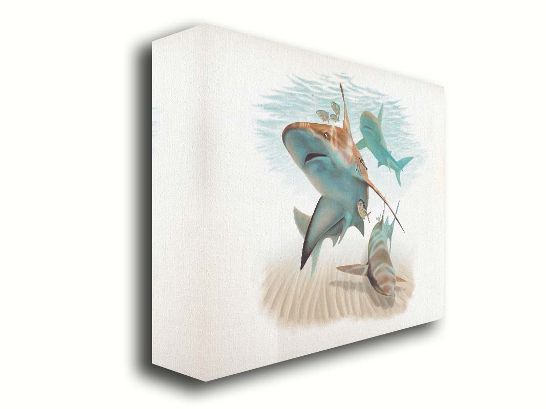 A painting of three sandbar sharks swimming in the shallows, alongside various fish. The soft background fades into a white backdrop, isolating the portraits. Printed on canvas.