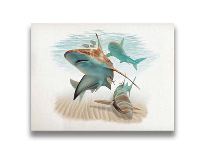 A painting of three sandbar sharks swimming in the shallows, alongside various fish. The soft background fades into a white backdrop, isolating the portraits. Printed on canvas.