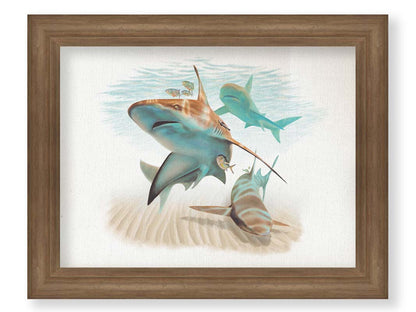 A painting of three sandbar sharks swimming in the shallows, alongside various fish. The soft background fades into a white backdrop, isolating the portraits. Printed on canvas and framed.