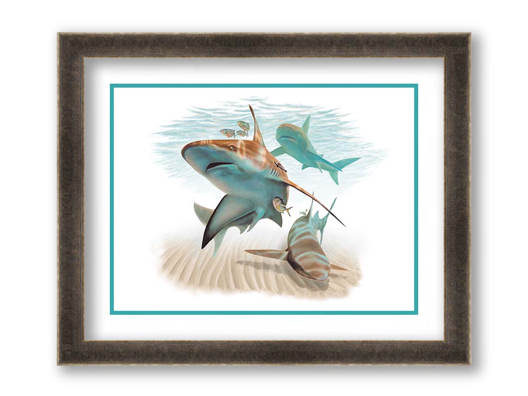 A painting of three sandbar sharks swimming in the shallows, alongside various fish. The soft background fades into a white backdrop, isolating the portraits. Printed on paper, matted, and framed.